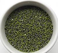 11/0 Charlotte true Cut Beads  Patina Opaque Olivine Gun Metal 10/20/50/250/500 Grams 1300 Pieces embroidery materials, jewelry making