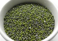 11/0 Charlotte true Cut Beads  Patina Opaque Olivine Gun Metal 10/20/50/250/500 Grams 1300 Pieces embroidery materials, jewelry making