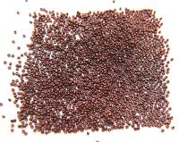 11/0 Charlotte true Cut Beads Raspberry Dark Metallic 10/20/50/250/500 Grams 1300 Pieces Metallic embroidery materials, jewelry making