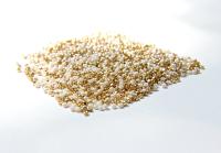 11/0 True Cut Charlotte Beads IVORY Gold Patina 10/20/50/250/500 Grams Native Beads Supply
