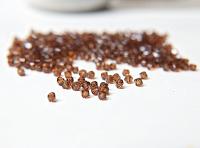 Light Smoked Topaz (4mm) Swarovski Bicone beads 36/72/144/432/720 Pieces (221) Rare findings, jewelry making, craft supplies, embellishment