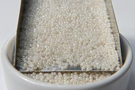 11/0 Charlotte true Cut Beads Ceylon Pearl White 10/20/50/250/500 Grams rare vintage beads, ivory beads, wedding embellishment, embroidery