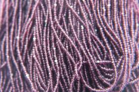 13/0 Hanks Charlotte True Cut Beads 20060 Transparent Amethyst 1/5/25/50/100 Hanks 1.6mm glass beads, jewelry supply, findings, craft supply