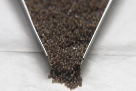 13/0 Charlotte Cut Beads Dark Greige Opal 5/10/20/50/250/500 Grams PREMIUM SEED BEADS, Native Supply