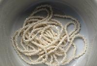 13/0 Charlotte Cut Beads Ivory 5/10/20/50/250/500 Grams craft supplies, jewelry making, embroidery materials, vintage beads, rare supplies