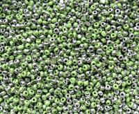 11/0 Charlotte true Cut Beads Patina Opaque Light Green Silver 10/20/50/250/500 Grams 1300 Pieces vintage findings, embroidery materials