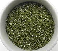 11/0 Charlotte true Cut Beads Ionized Olivine Opaque 10/20/50/250/500 Grams PREMIUM SEED Beads, vintage supplies