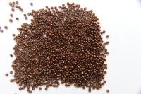 13/0 Charlotte Cut Beads Metallic Dark Copper 5/10/20/50/250/500 Grams craft supplies, jewelry making, embroidery materials, vintage beads