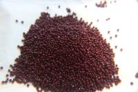 13/0 Charlotte true Cut Beads 1.6MM Opaque Chocolate Brown 5/10/20/50/250/500 Grams jewelry supply, findings, native supply, vintage beads