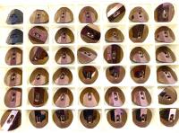 Swarovski 3016 Jet Nut 12 mm Round Button Potato chip slightly twisted Cystal sewing