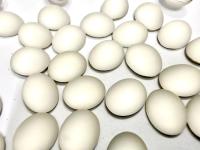 Swarovski 10x8 mm Vintage 2190 Crystal Matt-Finish Foiled Flat Back Oval Cabochon Cabs