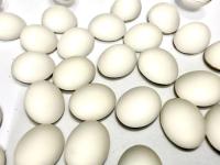 Swarovski 18x13 mm Vintage Crystal Matt Finish Foiled Flat Back Oval Cabochon 2/6 Pieces