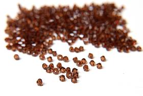 Light Smoked Topaz (4mm) Swarovski Bicone beads 36/72/144/432/720 Pieces (221) Rare findings, jewelry making, craft supplies, embellishment