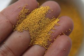0.5mm premium undrilled metal Microbeads Gold/Silver (No Holes) 5/10/100/500 Grams High Quality Nail Art decoration Caviar Beads, Jewelry
