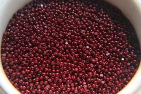 11/0 Charlotte true Cut Beads 2MM Opaque Chocolate Brown 10/20/50/250/500 Grams jewelry supply, findings, craft supply, vintage beads, rare