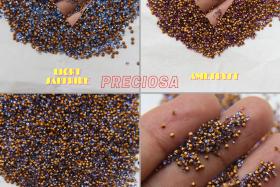 PRECIOSA Crystal 4SS/PP9 1.5mm 3 COLORS Chatons 72/144/720/1440/7200 Pieces Vintage Preciosa, Crystal Clay, nail art