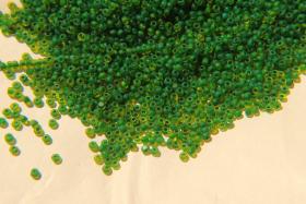 11/0 Charlotte Cut Beads Matt Yellow Green Lined 10/20/50/250/500 Grams PREMIUM SEED BEADS