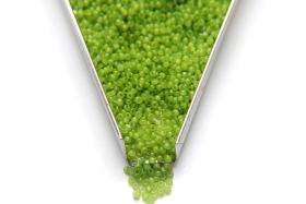 11/0 Charlotte True Cut Beads Kelly Green Opal 10/20/50/250/500 Grams Premium Seed beads, native supply