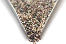 11/0 True cuts Charlotte Beads Woods Mix Beads 10/20/50/250/500 Grams PREMIUM SEED BEADS, Native Supply, beads soup