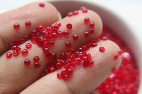 2.5mm Swarovski Vintage Flat Back round Cabochon Cabs in Light Siam unfoiled Made in Austria 36/72/288/720  Pieces