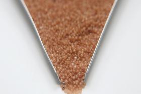 11/0 Charlotte Cut Beads Light Colorado Topaz Opal 10/20/50/250/500 Grams PREMIUM SEED BEADS
