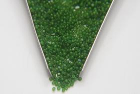 13/0 Charlotte True Cut Beads Fern Green Opal 5/10/20/50/250/500 Grams Premium Seed beads, native supply