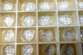 Swarovski 6012 11 x 10mm Flat Briolette Pendant Crystal Jewelry supplies