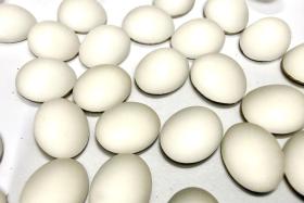 Swarovski 10x8 mm Vintage 2190 Crystal Matt-Finish Foiled Flat Back Oval Cabochon Cabs