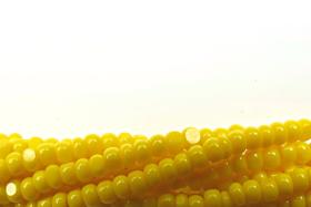 8/0 Charlotte Cut Beads Opaque Yellow 10/20/50 Grams glass beads, jewelry supply, vintage findings, craft supply, rare lemon yellow beads